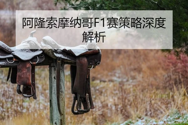 a-long-suo-mo-na-ge-sai-ce-lve-shen-du-jie-xi-2-319.jpg